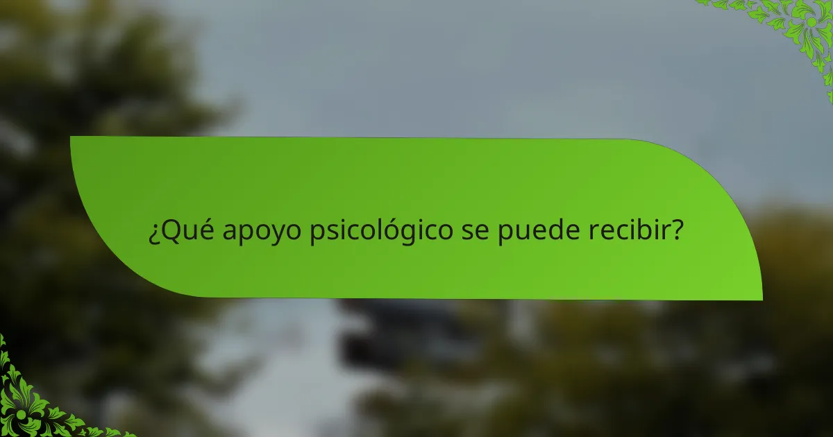 ¿Qué apoyo psicológico se puede recibir?