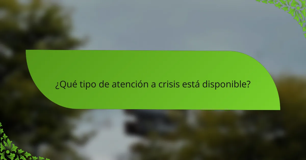 ¿Qué tipo de atención a crisis está disponible?